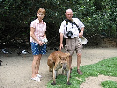 095 Port Douglas Wildlife Habitat